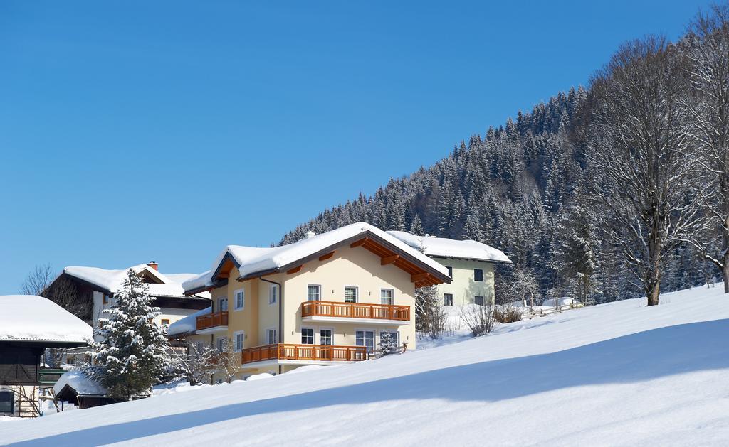 Bergblick Flachau